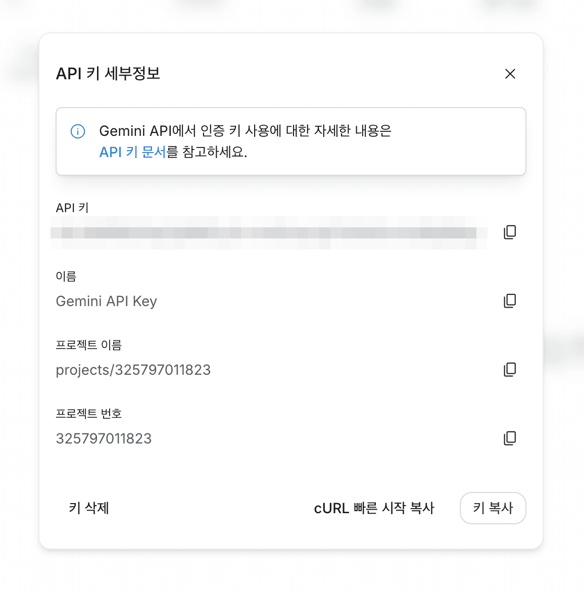 API 키 세부정보 창